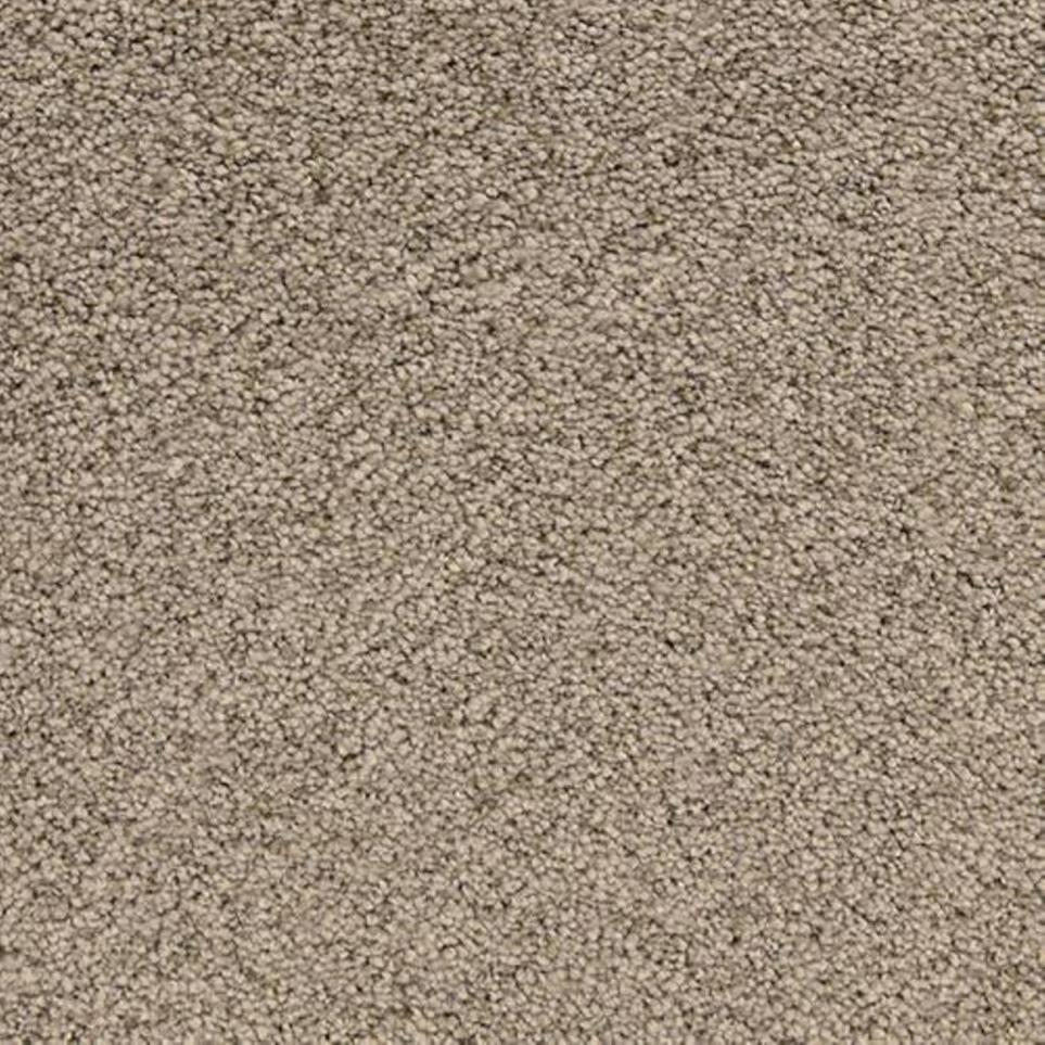 Textured Saxony Pelican Brown Carpet