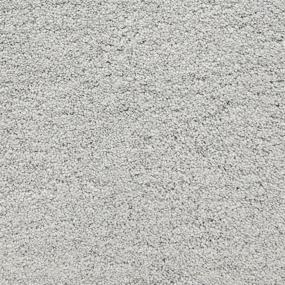 Textured Saxony El Estero Gray Carpet