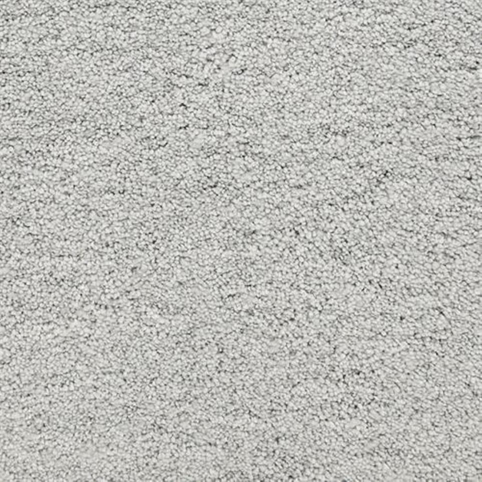 Textured Saxony El Estero Gray Carpet
