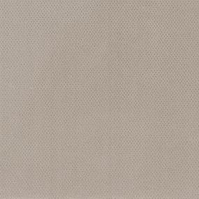 Pattern Brookdale Beige/Tan Carpet