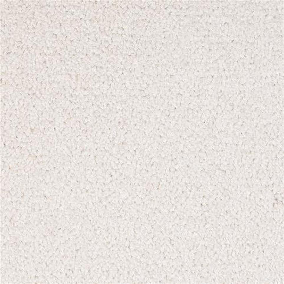 Textured Saxony Exclusive White Carpet