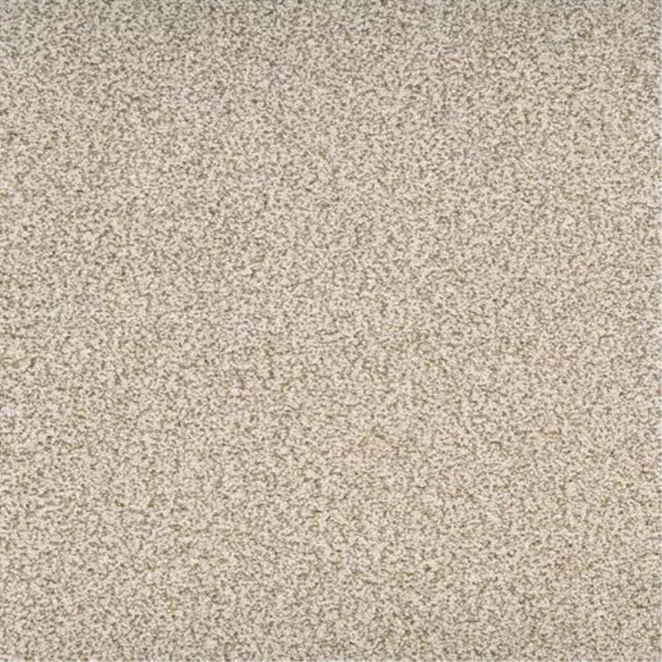 Textured Saxony Dashing Beige/Tan Carpet