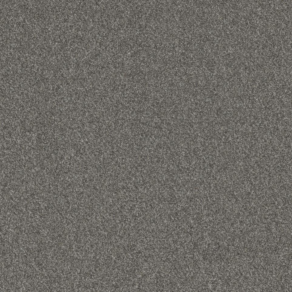 Texture Everlasting Gray Carpet