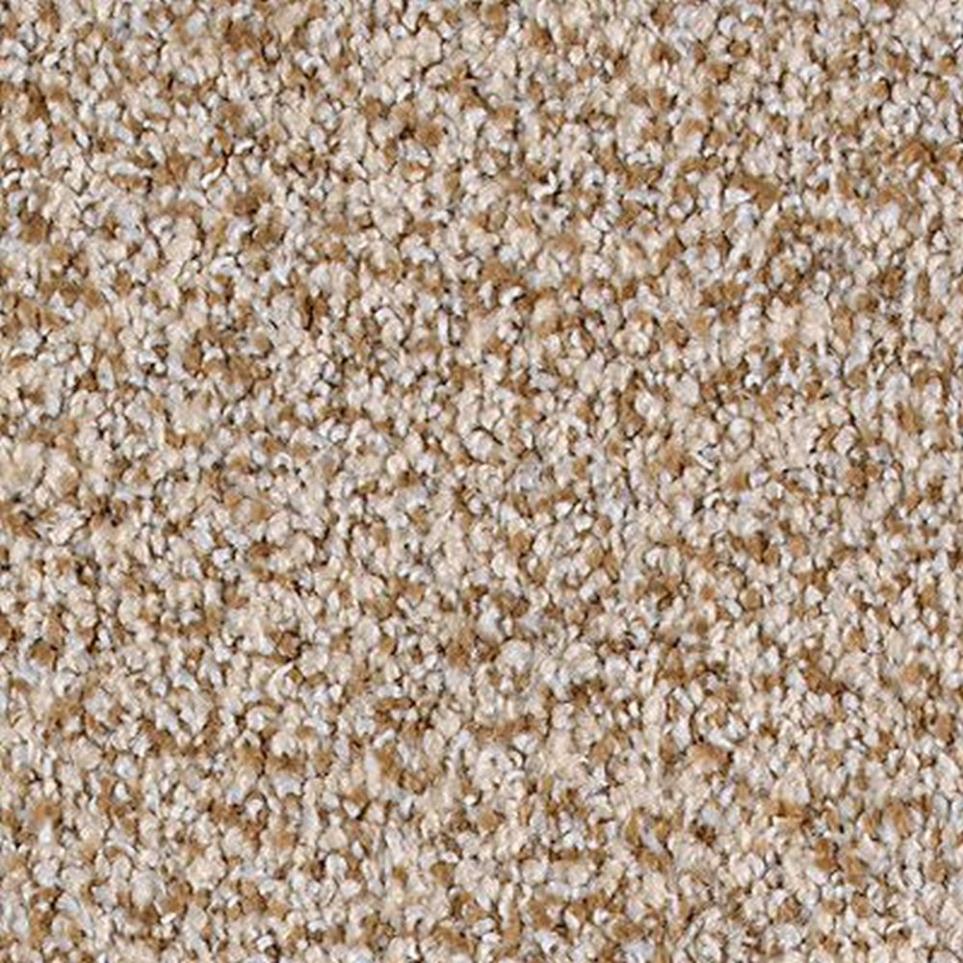 Textured Saxony Pristine Brown Carpet