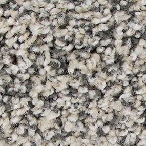 Textured Saxony Champagne Gray Carpet