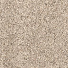 Textured Saxony Fetch Brown Carpet