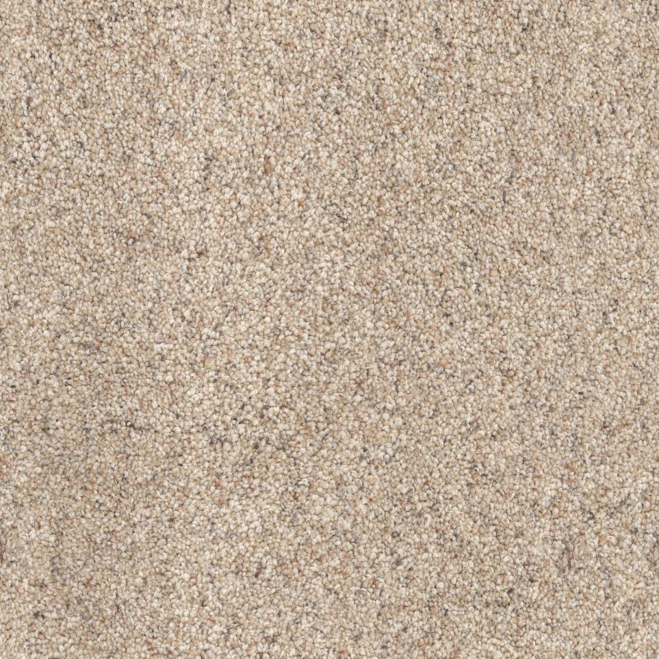 Textured Saxony Fetch Brown Carpet