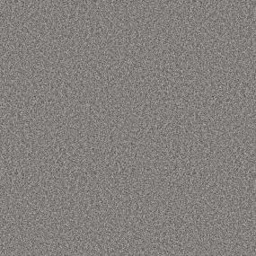 Textured Saxony GREY FOX Gray Carpet