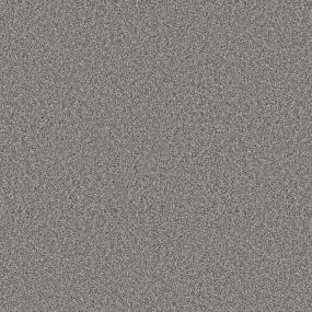 Textured Saxony GREY FOX Gray Carpet