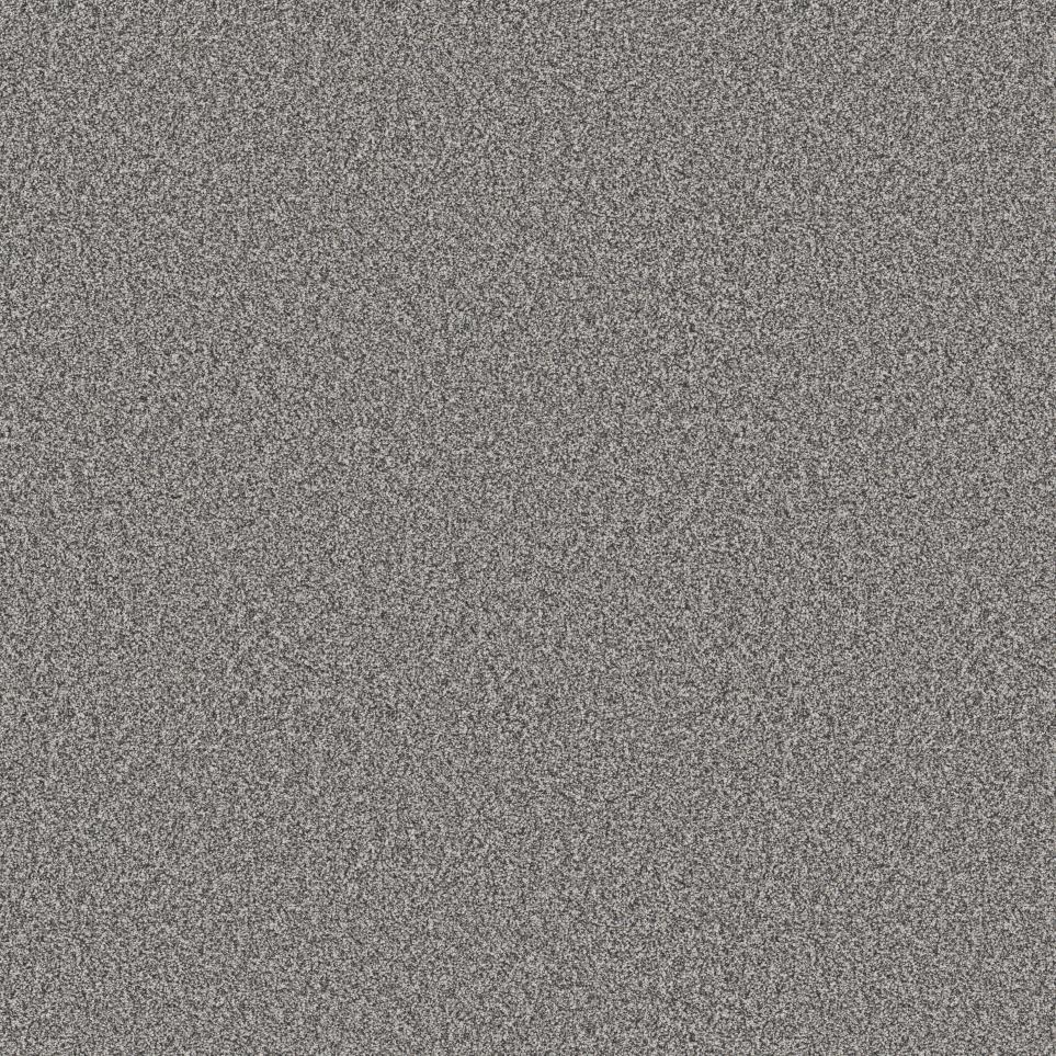 Textured Saxony GREY FOX Gray Carpet