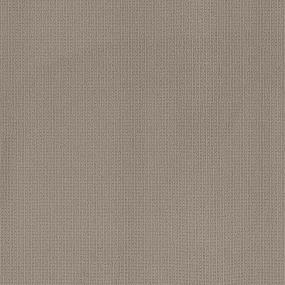 Pattern Beachcomber Beige/Tan Carpet