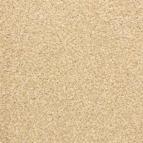 Textured Saxony Camel Beige/Tan Carpet