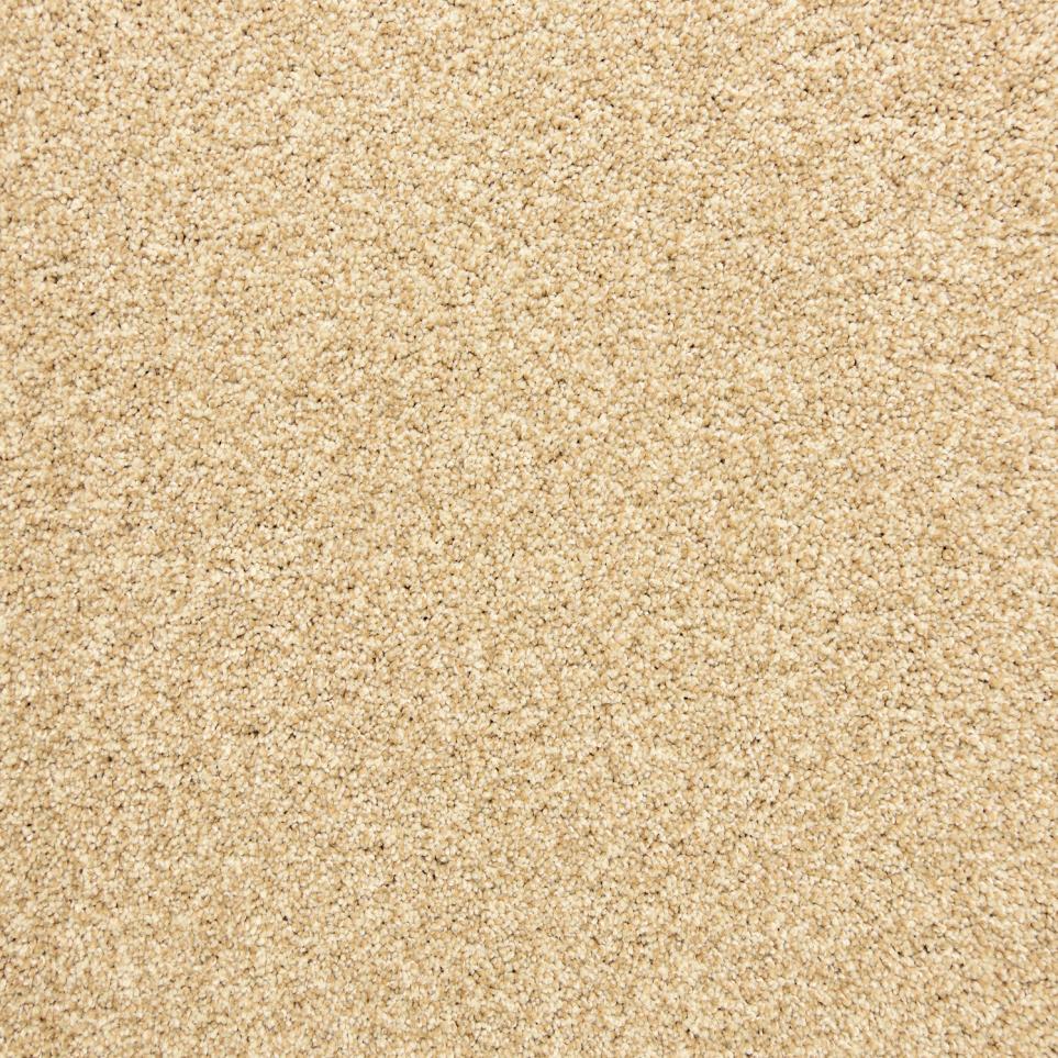 Textured Saxony Camel Beige/Tan Carpet