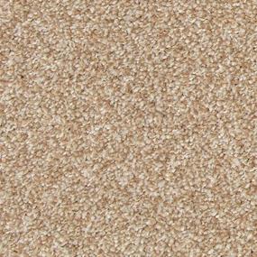 Texture Gleam Beige/Tan Carpet