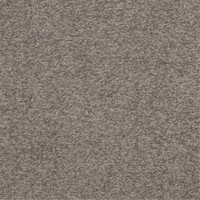 Casual Texture Nightlife Brown Carpet