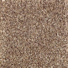 Textured Saxony Tightrope Beige/Tan Carpet