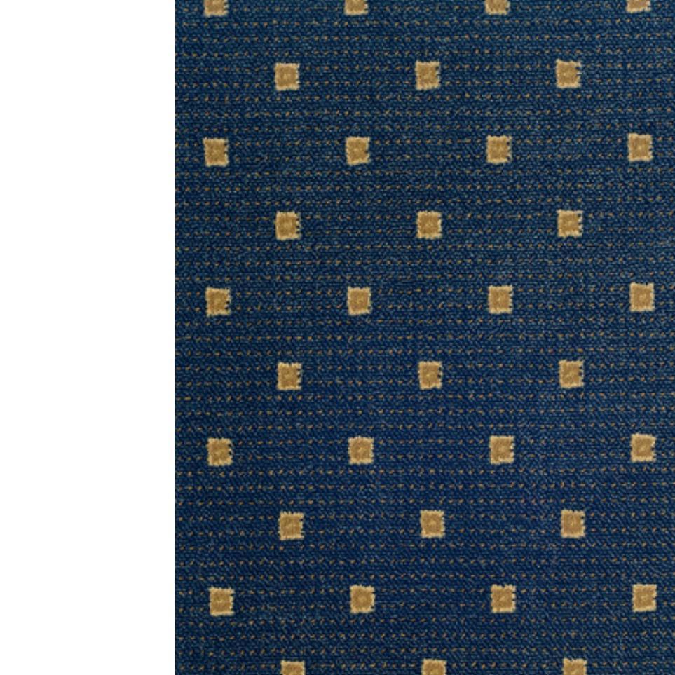 Pattern Navy Blue Carpet