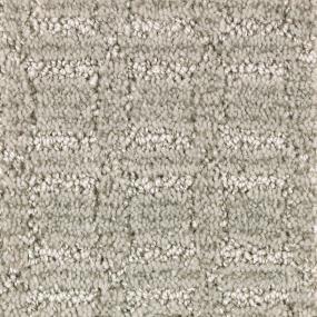 Pattern Tinsmith Beige/Tan Carpet