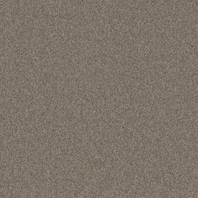 Textured Saxony Adirondack Beige/Tan Carpet