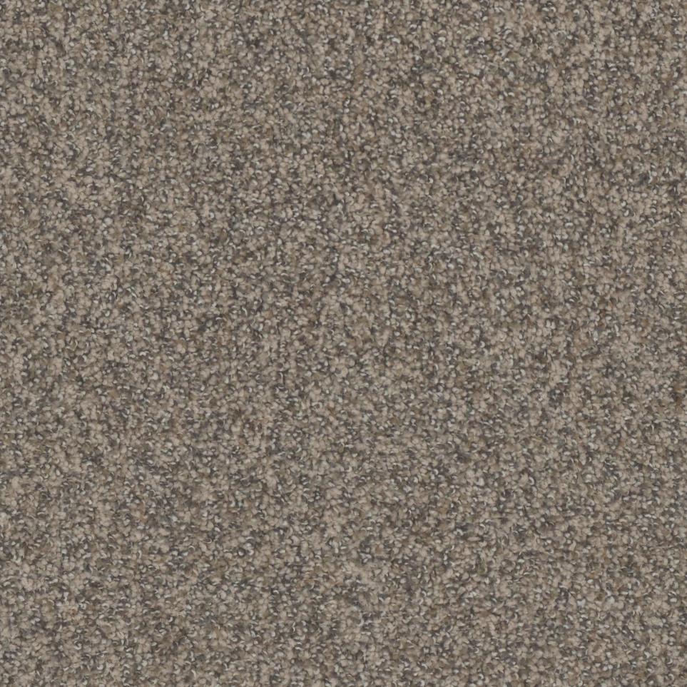 Texture Adirondack Beige/Tan Carpet