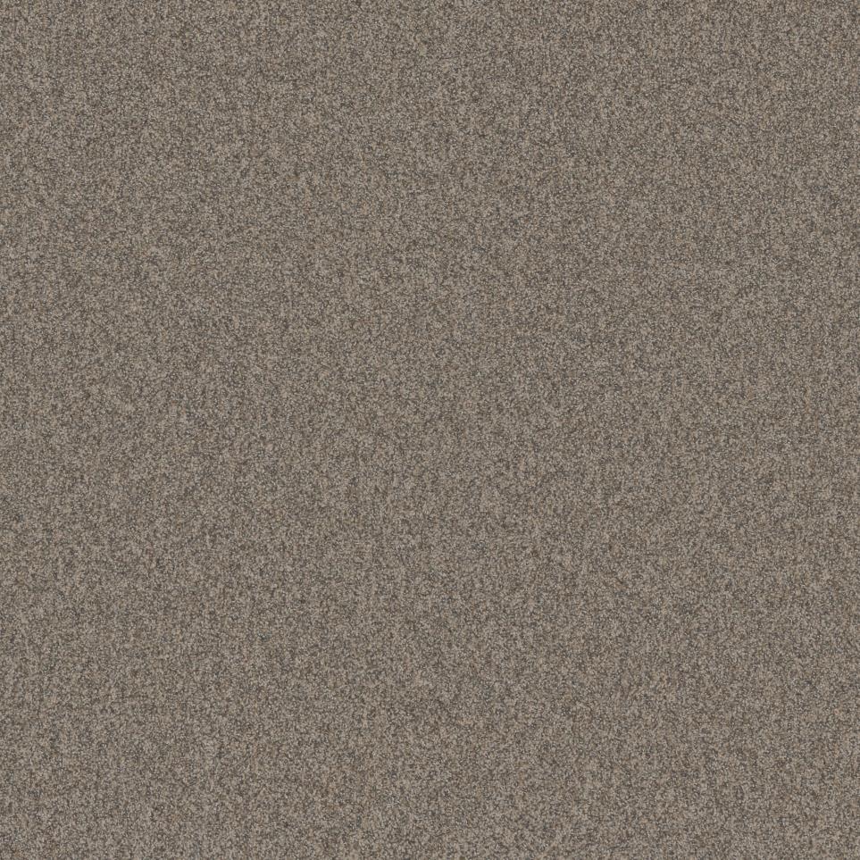 Texture Adirondack Beige/Tan Carpet