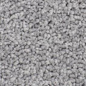 Textured Saxony Stardust Gray Carpet