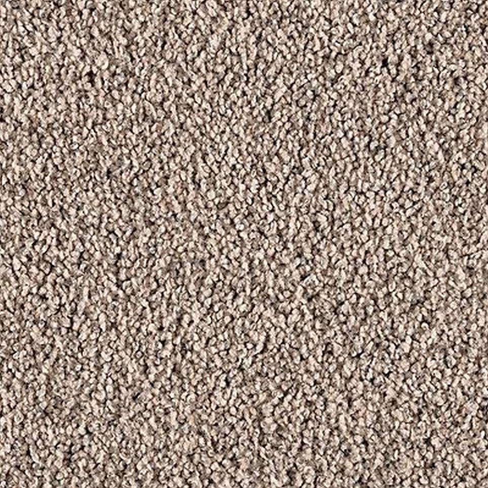 Textured Saxony Dapper Beige/Tan Carpet