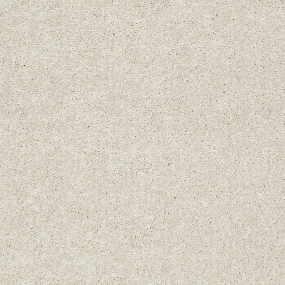 Textured Saxony Cement Beige/Tan Carpet