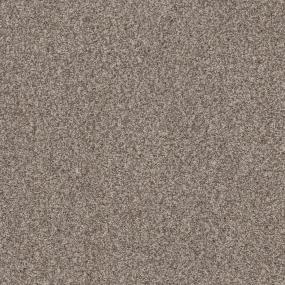 Casual Texture Rocky Beige/Tan Carpet