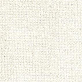 Pattern Bobtail Beige/Tan Carpet