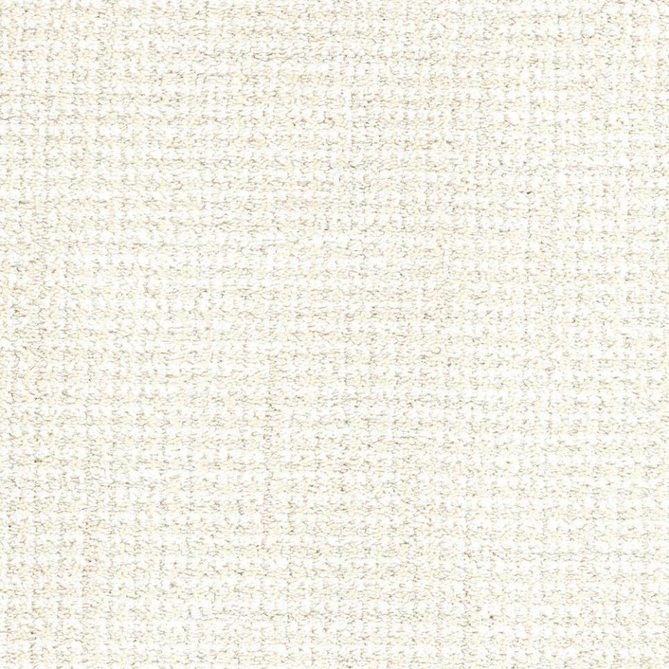 Pattern Bobtail Beige/Tan Carpet