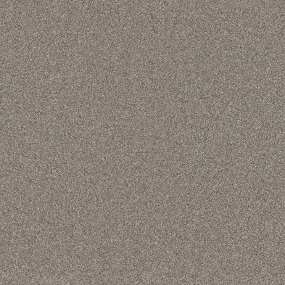 Textured Saxony Roadside Beige/Tan Carpet