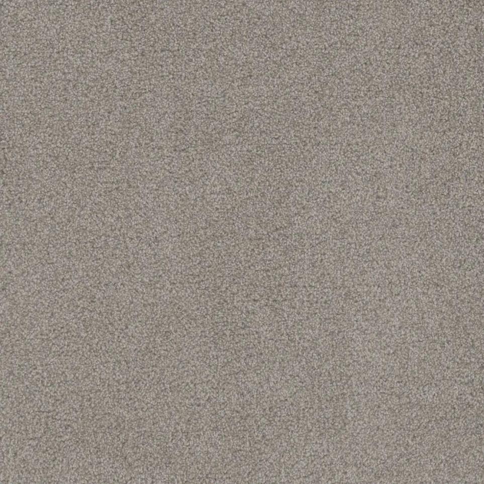 Cut Pile Everlasting Brown Carpet