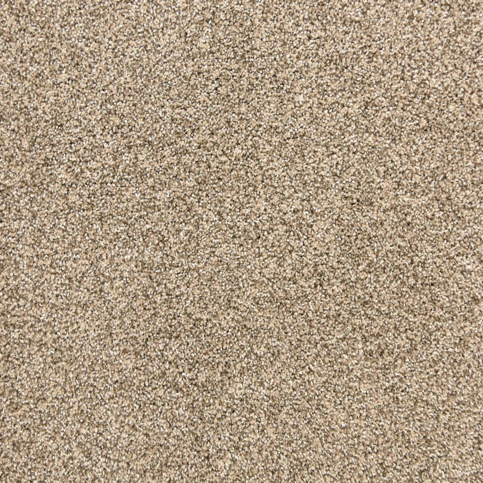 Texture Barnwood Beige/Tan Carpet