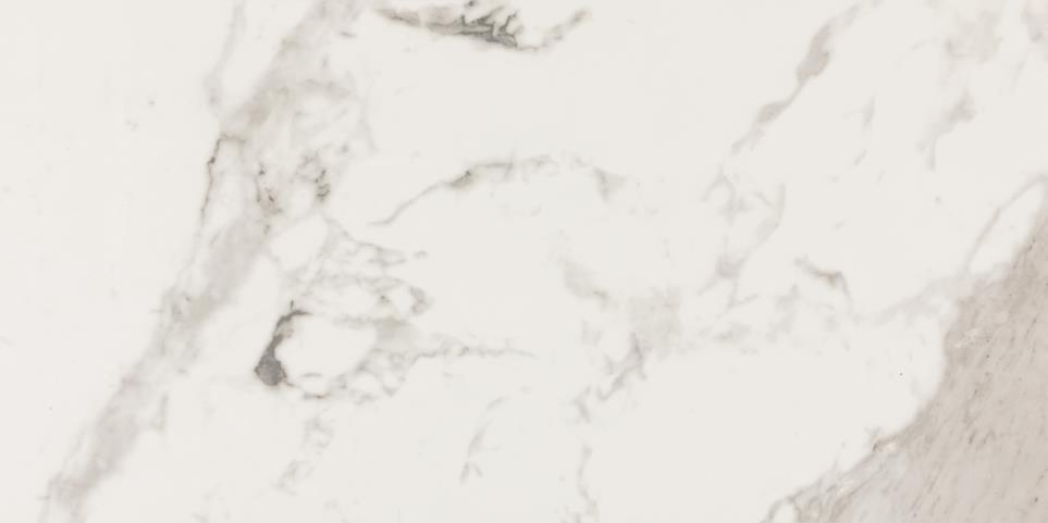 Tile Calacatta Polished White Tile