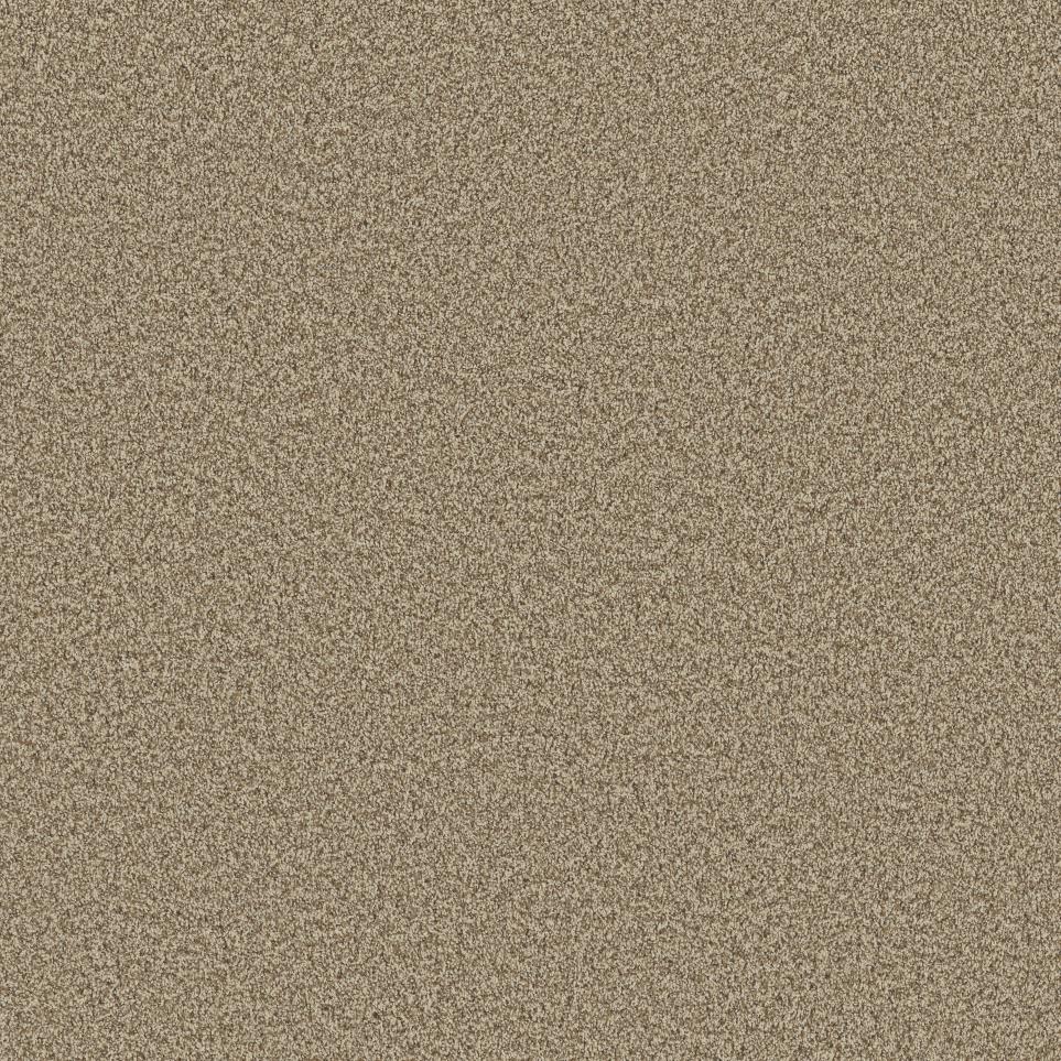 Textured Saxony Hideaway Brown Carpet