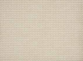 Pattern Oyster Beige/Tan Carpet