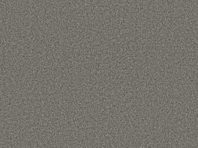 Textured Saxony Carbon Gray Carpet