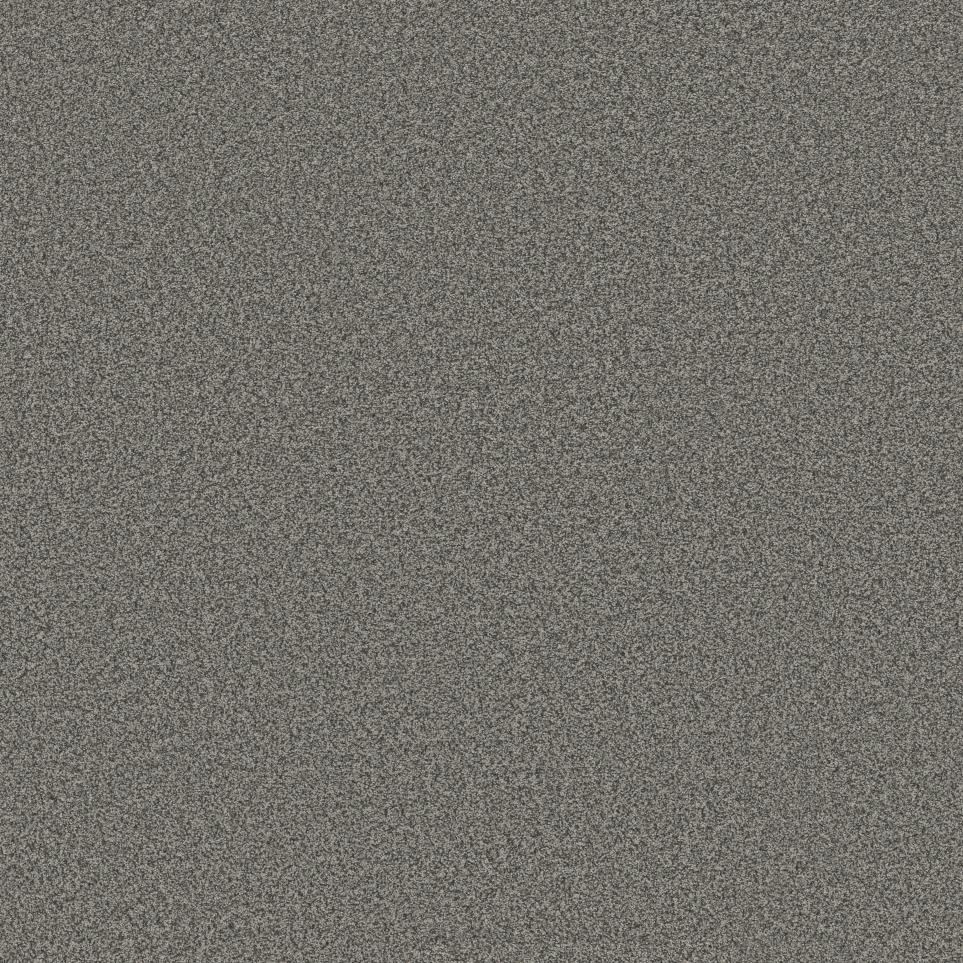 Texture Carbon Gray Carpet