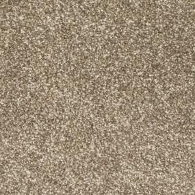 Textured Saxony Weathered Wood Beige/Tan Carpet