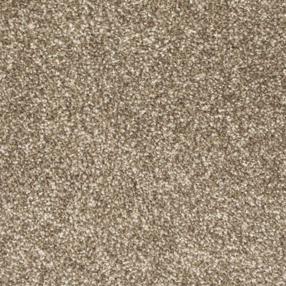 Texture Weathered Wood Beige/Tan Carpet