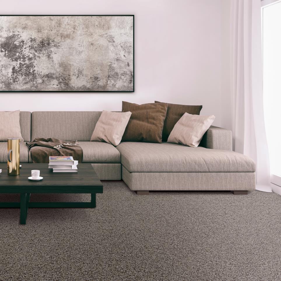 Textured Saxony Gable Brown Carpet