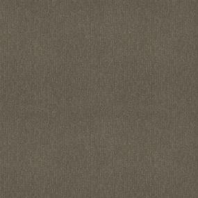 Pattern Brindle Beige/Tan Carpet