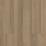 Soft Hickory