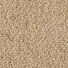 Textured Saxony Optimism Beige/Tan Carpet
