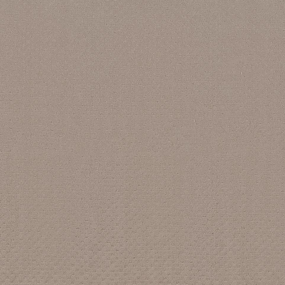 Pattern Burlywood Beige/Tan Carpet