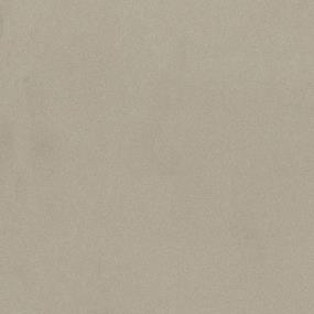 Textured Saxony Cloth Beige/Tan Carpet
