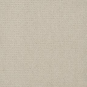Pattern Pleasing Beige/Tan Carpet