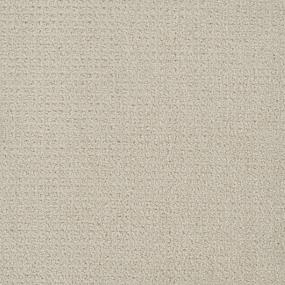 Pattern Pleasing Beige/Tan Carpet
