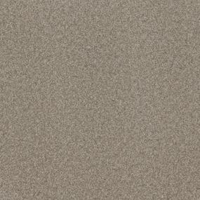 Textured Saxony Dwelling Beige/Tan Carpet